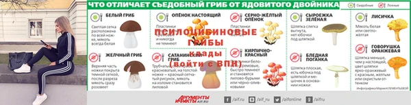 прущие крисы Алзамай