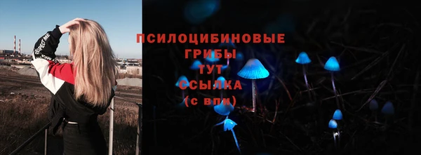 прущий лед Алексин