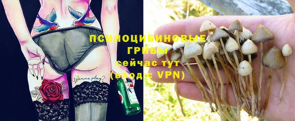 прущие крисы Алзамай