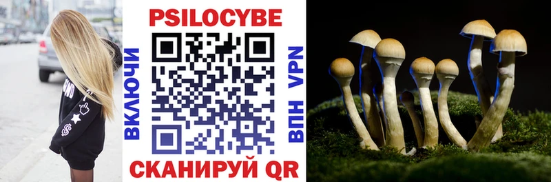 Псилоцибиновые грибы Magic Shrooms  где продают   Анива 